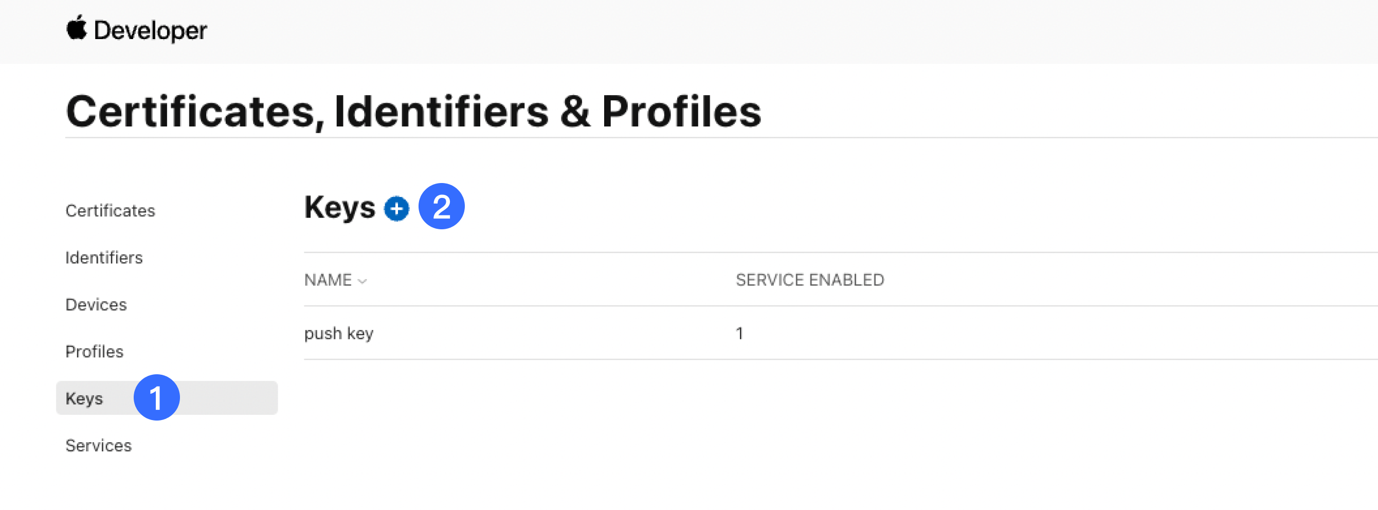 1-1-2.1.1 Apple Developer APNS Key.png