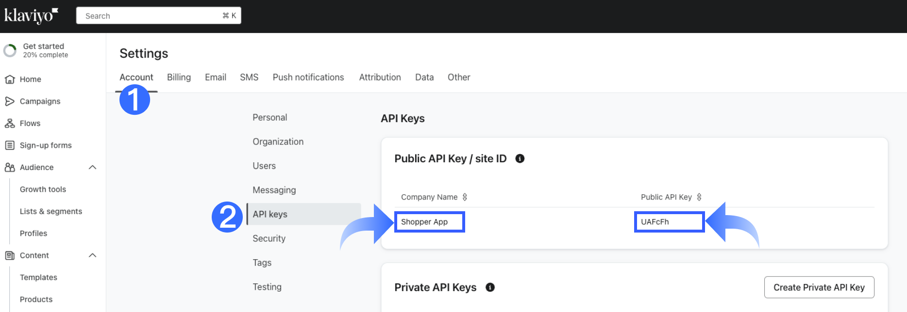 1-3-3.1 Klaviyo project name API Key.png