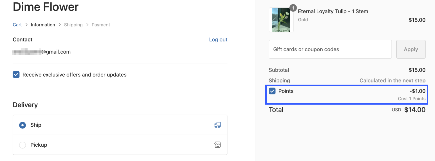 Points Discount Page Description.png