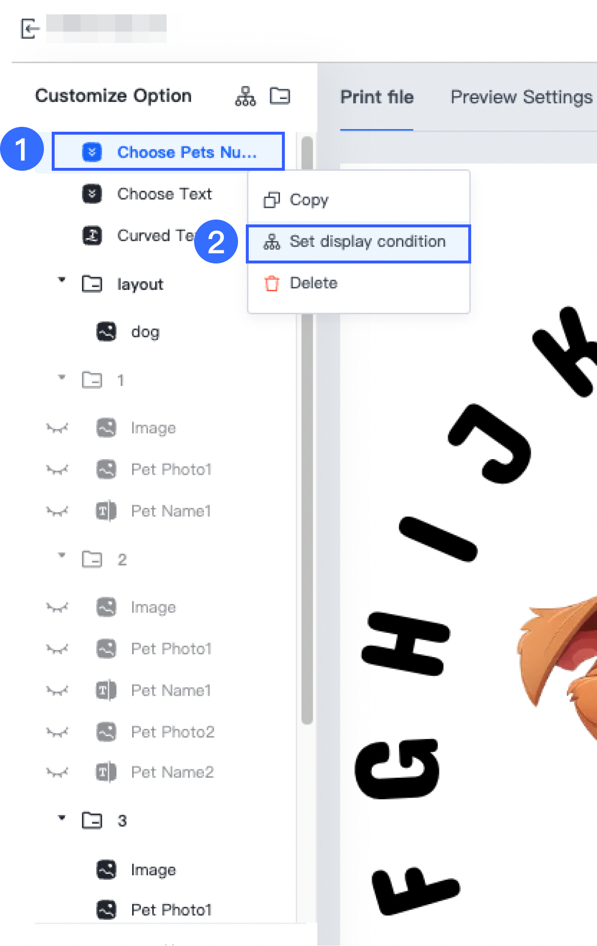 POD_Setting Display Condition.png