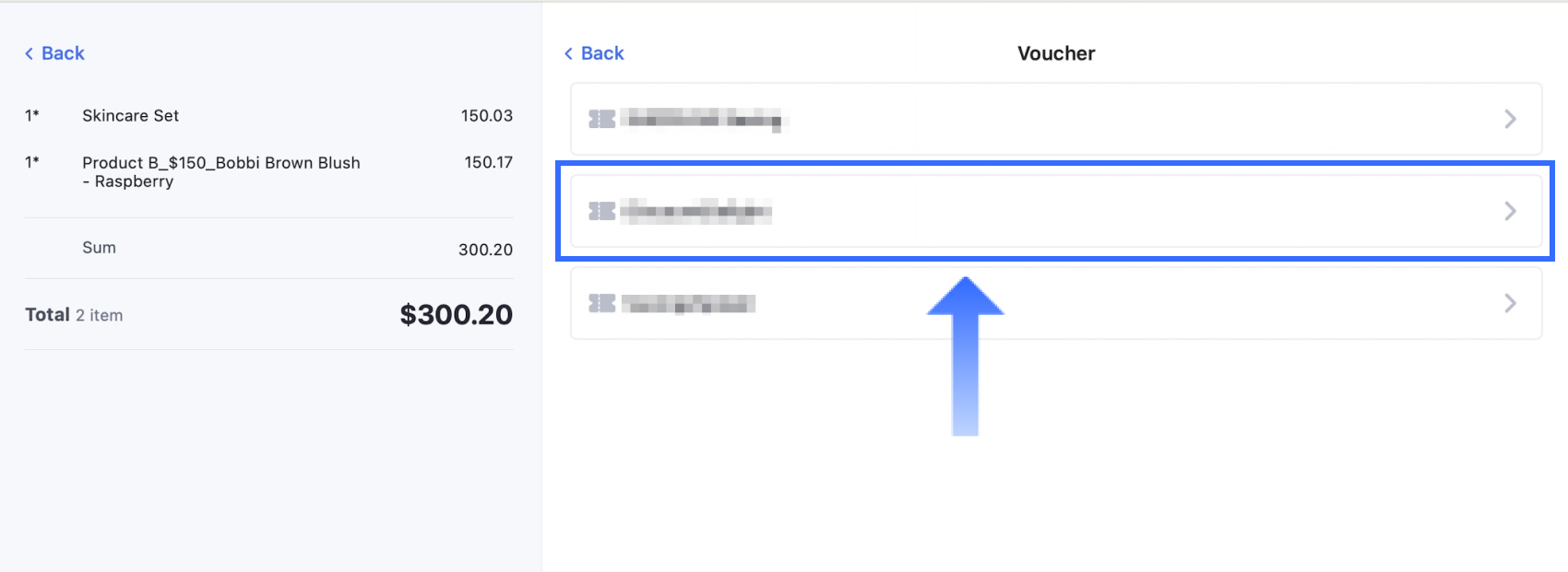 3.3 Processing Payments with Vouchers_Voucher options.png
