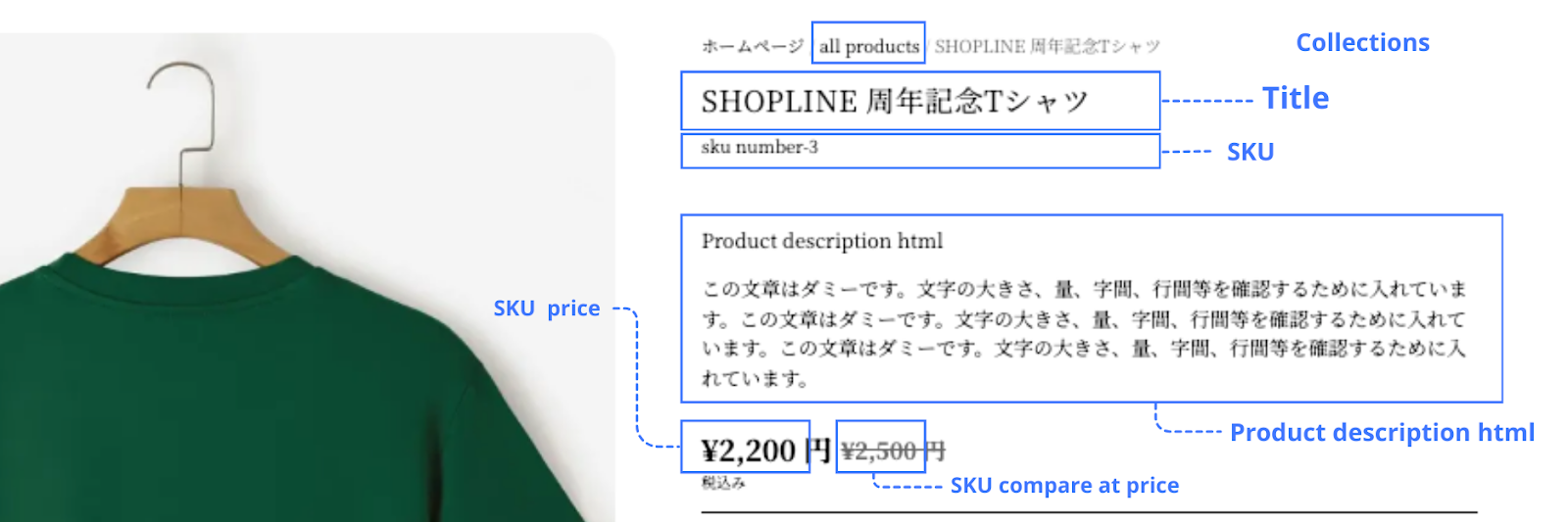 image (58).png